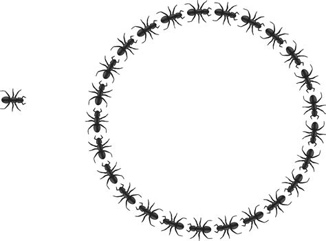 Ants Insects Organized Free Vector Graphic On Pixabay