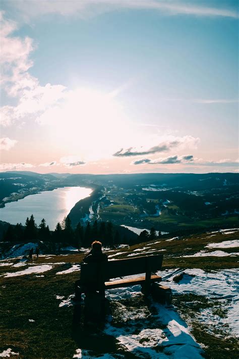 Person Sitting on the Bench · Free Stock Photo