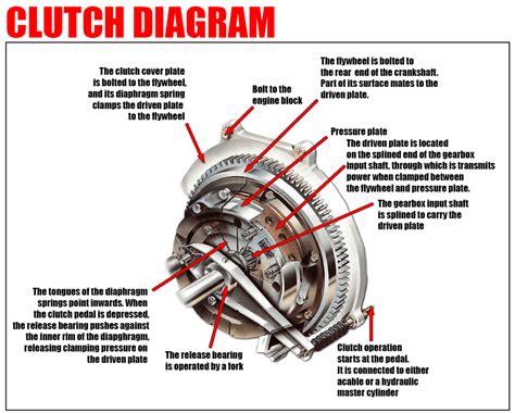 Clutch Anatomy Car Anatomy