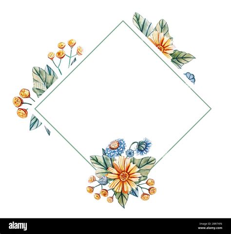 Floral Square Frame Of Watercolor Wildflowers There Is A Place For