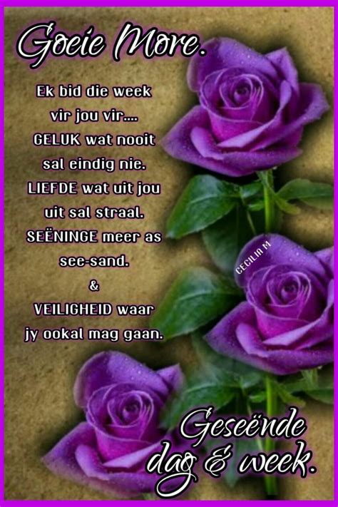 Goeie More Goeie Nag Afrikaans Quotes Day Wishes Gratitude Verses Om Lilac Cottage