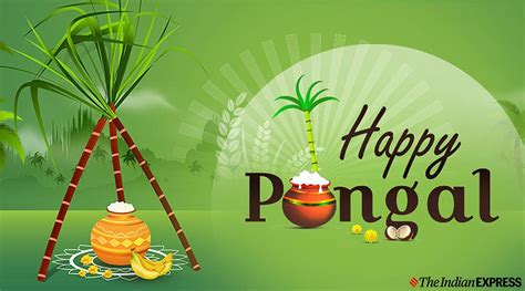 Pongal Festival Wallpapers - Wallpaper Cave