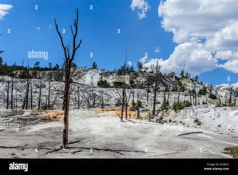 Mammoth Hot Springs Stock Photo Alamy