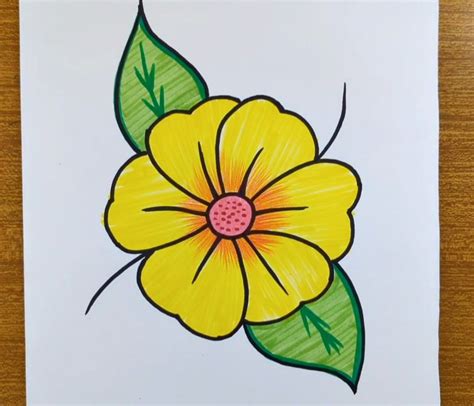 easy flower drawing  beginners draw  colour