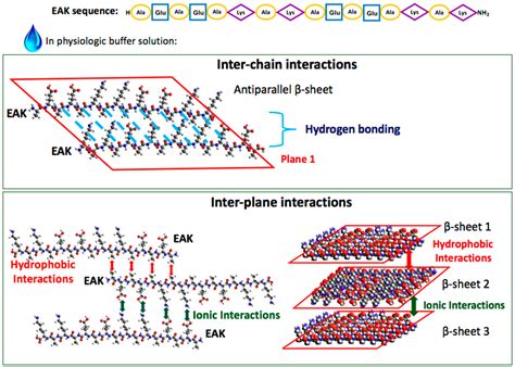 Materials Free Full Text Design Of Decorated Self Assembling