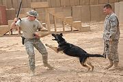 categorydog trainers wikimedia commons