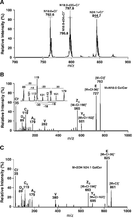 A Typical Negative Ion Electrospray Ionization Esi Mass Spectrum Of