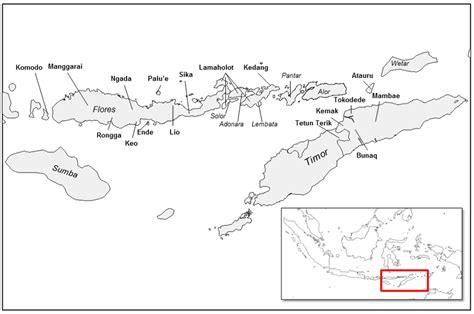 Austronesian Languages To The West And South Of Alor Pantar Names In