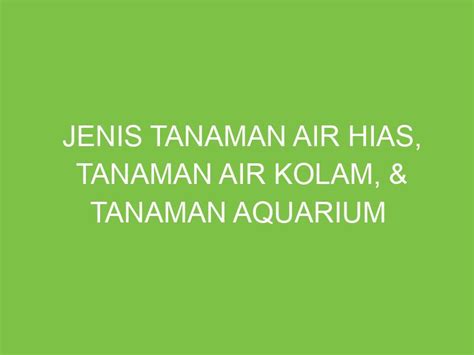 Jenis Tanaman Air Hias Tanaman Air Kolam Tanaman Aquarium Aikerja