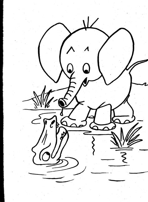 printable wild animal coloring pages