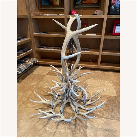 Large Authentic Antler Chandelier Aptdeco