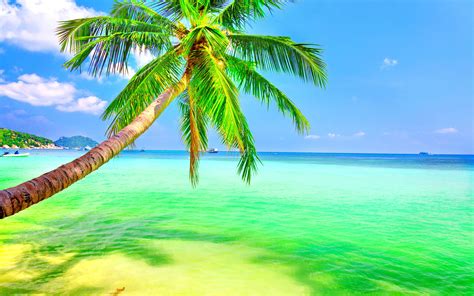 Tropical Desktop Background (56+ images)