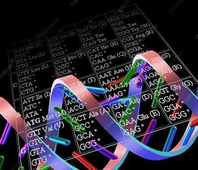 Genetic Code Stock Image G Science Photo Library