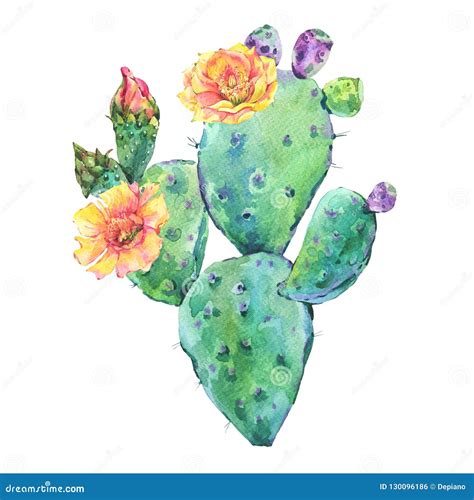 Cartolina D Auguri Di Fioritura Del Cactus Dell Acquerello D Annata