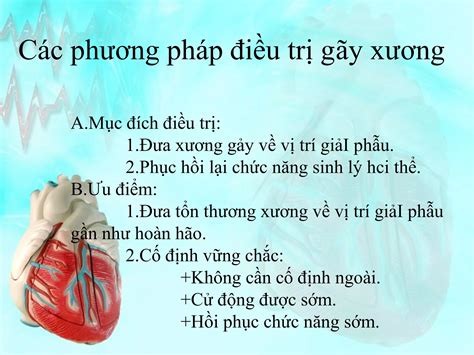 B Dc Gay Xuong B Nh Ngo I Khoa Ppt