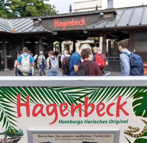 Ig Bau Tierpark Hagenbeck K Ndigt Ffnung Auch F R Den Streikfall An