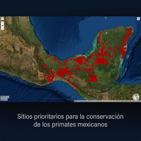 Sitios Prioritarios Para Los Primates Biodiversidad Mexicana