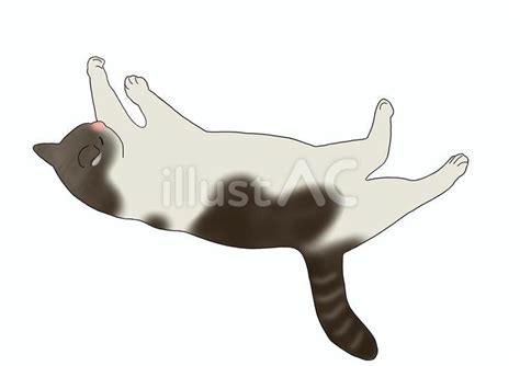 寝転ぶ猫イラスト No 23686373／無料イラストフリー素材なら「イラストac」