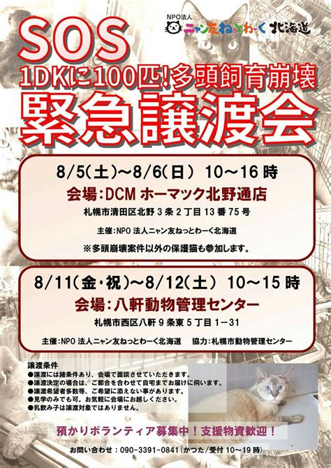 【811 12】明日、明後日は『緊急！sos 多頭飼育崩壊 1dkに100匹？！』の緊急譲渡会を開催します。 ニャン友ねっとわーく北海道