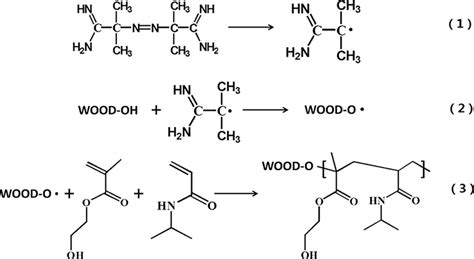 Proposed Mechanism Of Graft Copolymerization Of Water Soluble Monomers