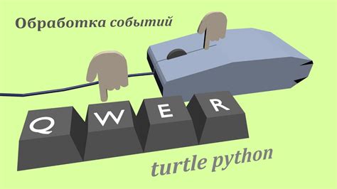 Turtle Python Youtube