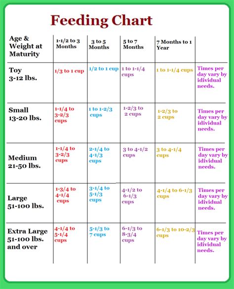 Dog Feeding Schedule Template - Printable Word Searches