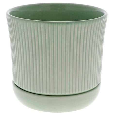 dollarama plant  flower pot  attached saucer  day delivery