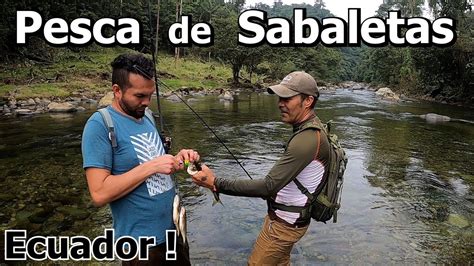 Pesca de Sabaletas en rio de Montaña provincia de Pichincha Ecuador