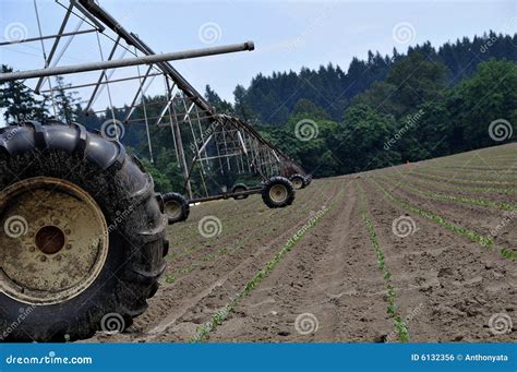 Farming Irrigation System stock photo. Image of technology - 6132356