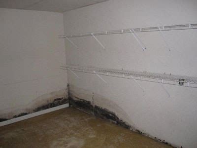 Black Mold & Toxic Black Mold Remediation Services