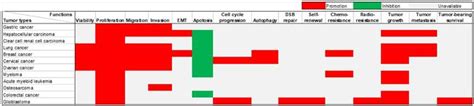 Dars As1 A Vital Oncogenic Lncrna Regulator With Potential For Cancer