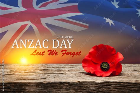 poppy pin  anzac day poppy flower   beautiful high grain