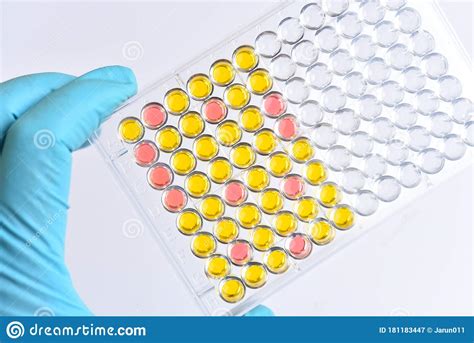 Enzyme Linked Immunosorbent Assay Or Elisa Plate Stock Image Image Of