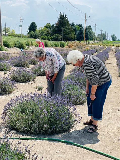 Essential Guide to the Cost of Living in Idaho Falls 25