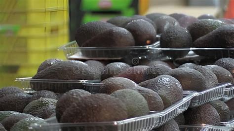 Trays Of Ripe Hass Avocados In A Packaging Industrial Line Stock Video