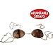 Amazon Beistle Coconut Shell Bra Bikini Top For Summer Luau Party Halloween Hawaiian
