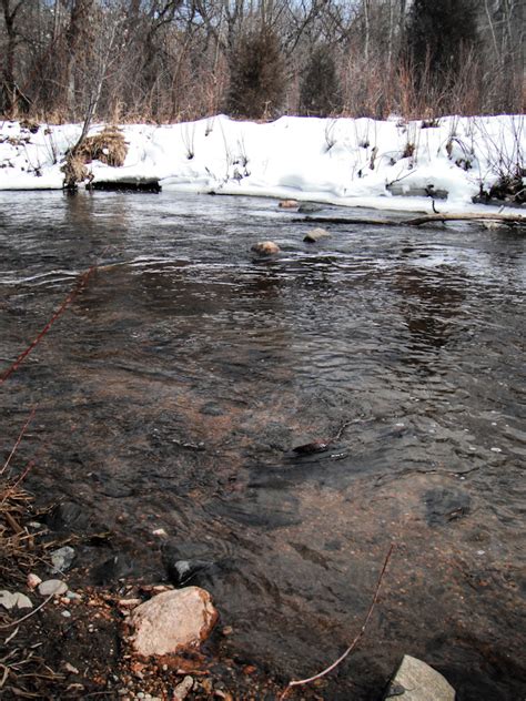 Early spring fishing on Bear Creek