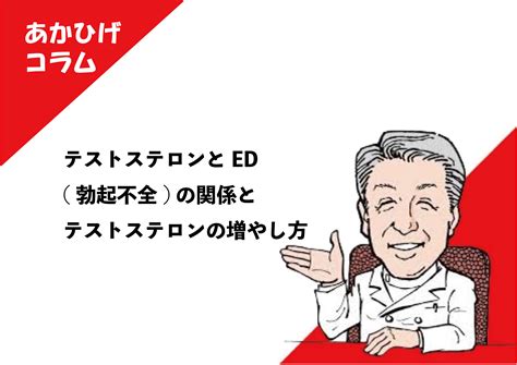 テストステロンとed 勃起不全 の関係とテストステロンの増やし方