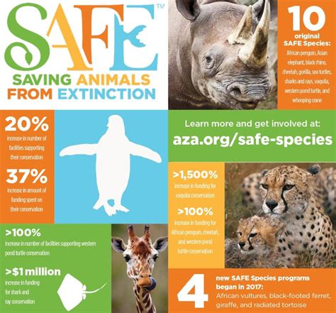 protecting animals  extinction sxeo