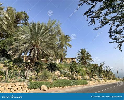 Ein Gedi Botanical Garden on the Shores of the Dead Sea Editorial Photo ...