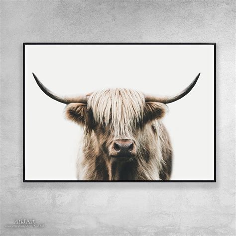 Highland Cow Print Highland Cow Posterbuffalo Wall Art Etsy