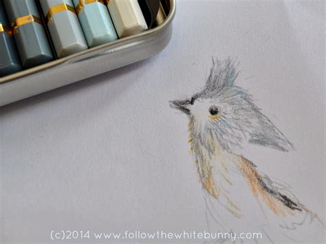 Follow the White Bunny: Tiny Bird Sketch