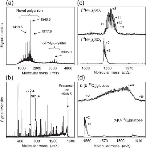 Positive Ion MALDI TOF Mass Spectra Of The Poly Glutamic Acid Secreted