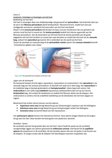 Casus Casus Anatomie Histologie En Fysiologie Van Het Hart