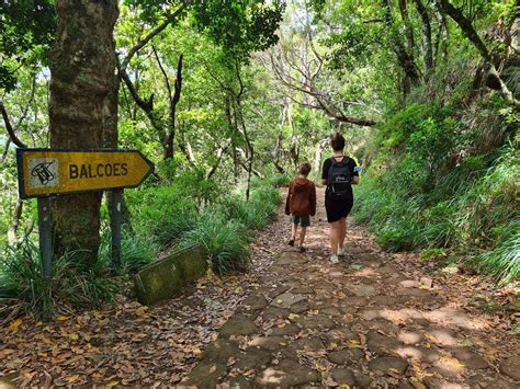 Levada dos Balcões PR11 wandeling 1 5 km op Madeira