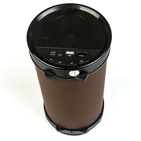 Portable PA system Dialog AP-1000
