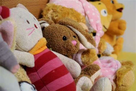 images flower red holiday pink rabbit teddy bear textile