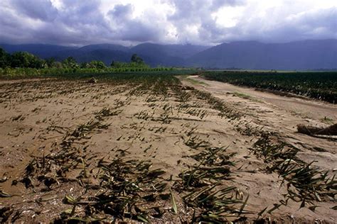 O Surgimento Das Mudan As Clim Ticas Na Am Rica Latina E No Caribe