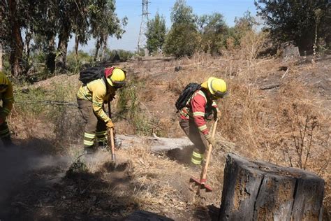 Onemi Declara Alerta Roja En Valparaíso Por Incendio Forestal La Tercera