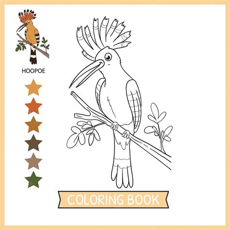 Premium Vector | Coloring pages or books for kids cute hoopoe cartoon ...